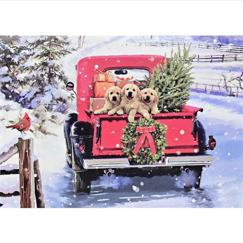 Bringing Home the Tree Deluxe Holiday Boxed Cards